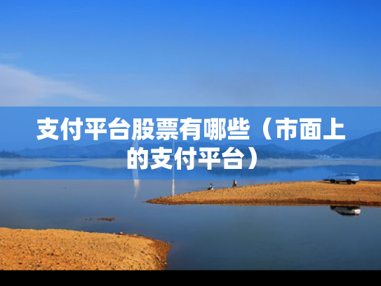 支付平台股票有哪些（市面上的支付平台）