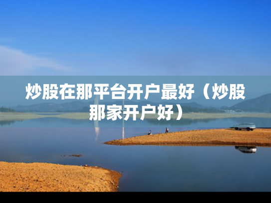 炒股在那平台开户最好（炒股那家开户好）