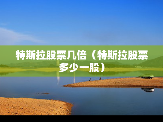 特斯拉股票几倍（特斯拉股票多少一股）
