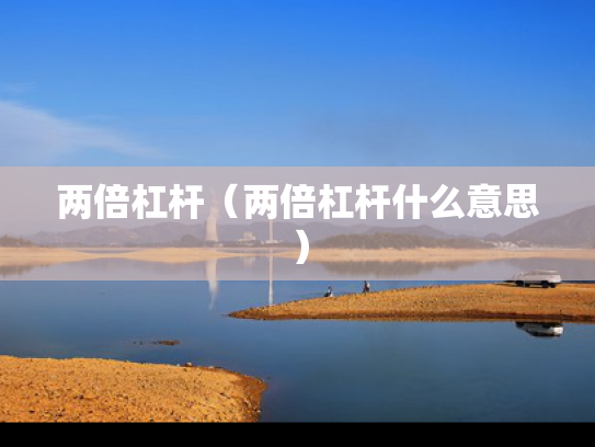 两倍杠杆（两倍杠杆什么意思）