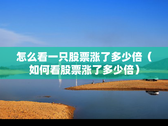 怎么看一只股票涨了多少倍（如何看股票涨了多少倍）