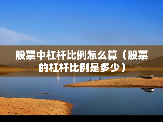 股票中杠杆比例怎么算（股票的杠杆比例是多少）