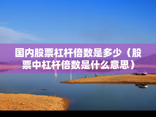 国内股票杠杆倍数是多少（股票中杠杆倍数是什么意思）