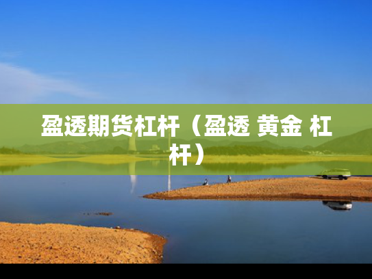 盈透期货杠杆（盈透 黄金 杠杆）