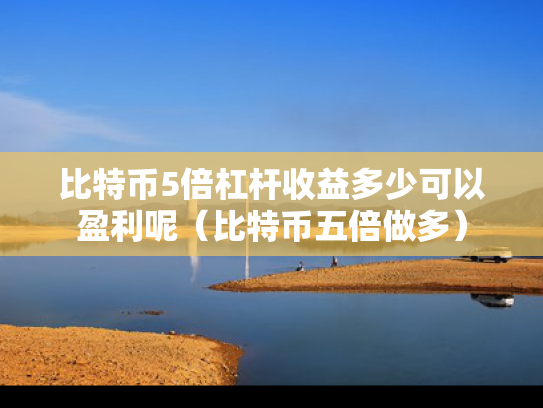 比特币5倍杠杆收益多少可以盈利呢（比特币五倍做多）