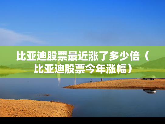 比亚迪股票最近涨了多少倍（比亚迪股票今年涨幅）