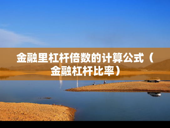 金融里杠杆倍数的计算公式（金融杠杆比率）