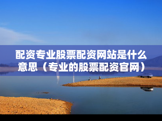配资专业股票配资网站是什么意思（专业的股票配资官网）