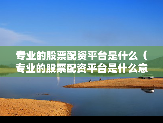 专业的股票配资平台是什么（专业的股票配资平台是什么意思）