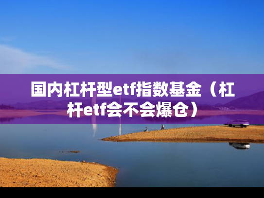 国内杠杆型etf指数基金（杠杆etf会不会爆仓）