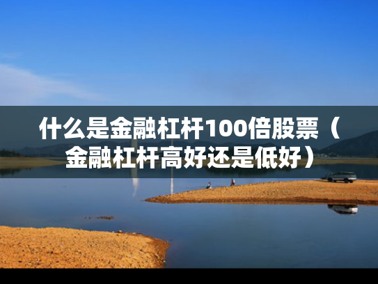 什么是金融杠杆100倍股票（金融杠杆高好还是低好）