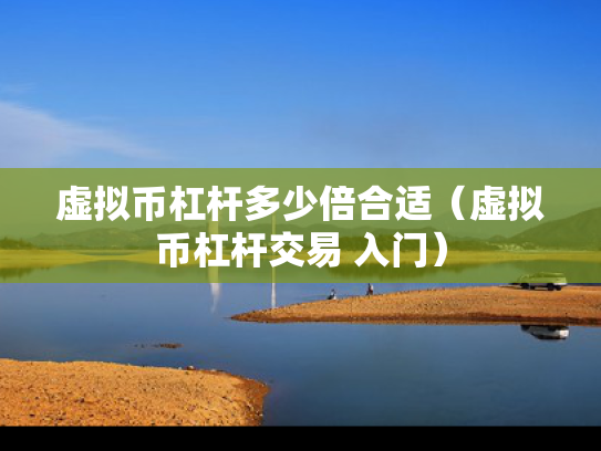 虚拟币杠杆多少倍合适（虚拟币杠杆交易 入门）