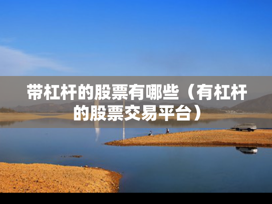 带杠杆的股票有哪些（有杠杆的股票交易平台）