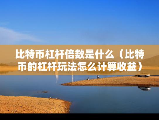 比特币杠杆倍数是什么（比特币的杠杆玩法怎么计算收益）