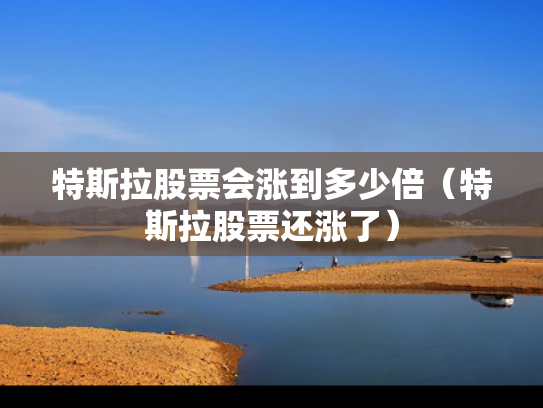 特斯拉股票会涨到多少倍（特斯拉股票还涨了）