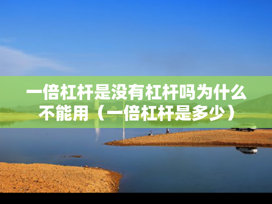 一倍杠杆是没有杠杆吗为什么不能用（一倍杠杆是多少）