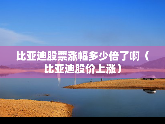 比亚迪股票涨幅多少倍了啊（比亚迪股价上涨）