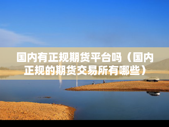 国内有正规期货平台吗（国内正规的期货交易所有哪些）
