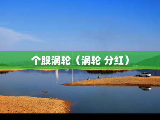 个股涡轮（涡轮 分红）