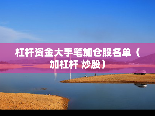 杠杆资金大手笔加仓股名单（加杠杆 炒股）