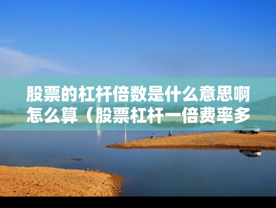 股票的杠杆倍数是什么意思啊怎么算（股票杠杆一倍费率多少）