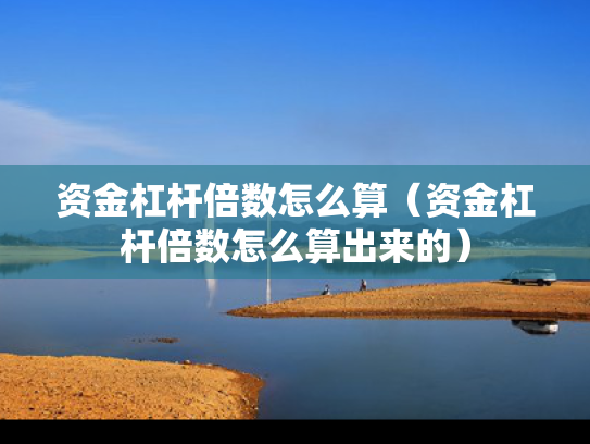 资金杠杆倍数怎么算（资金杠杆倍数怎么算出来的）