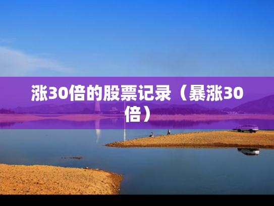 涨30倍的股票记录（暴涨30倍）
