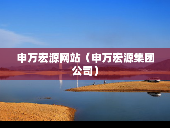 申万宏源网站（申万宏源集团公司）