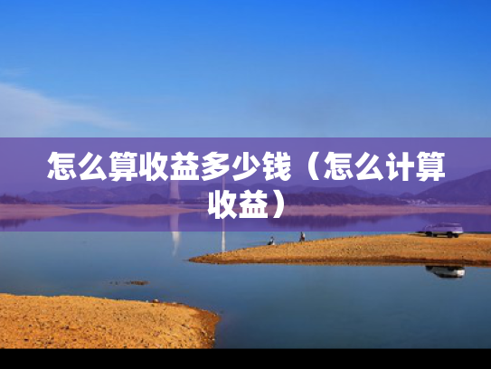 怎么算收益多少钱（怎么计算收益）