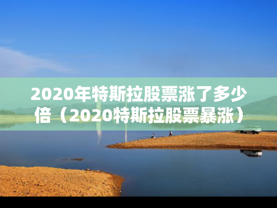 2020年特斯拉股票涨了多少倍（2020特斯拉股票暴涨）