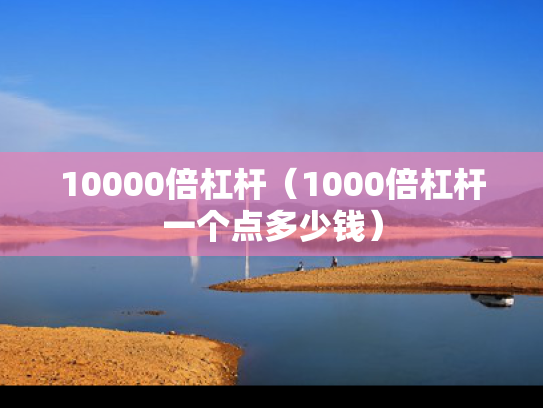 10000倍杠杆（1000倍杠杆一个点多少钱）