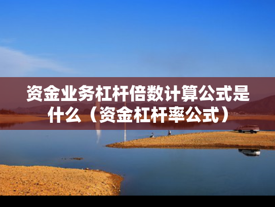 资金业务杠杆倍数计算公式是什么（资金杠杆率公式）