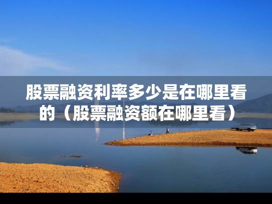股票融资利率多少是在哪里看的（股票融资额在哪里看）