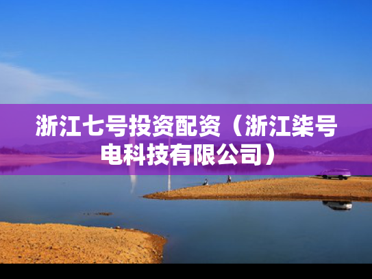 浙江七号投资配资（浙江柒号电科技有限公司）
