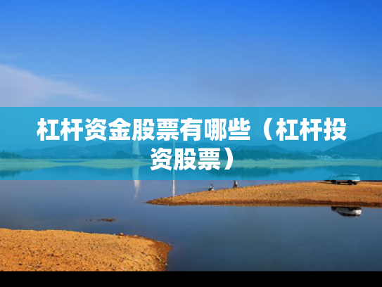 杠杆资金股票有哪些（杠杆投资股票）
