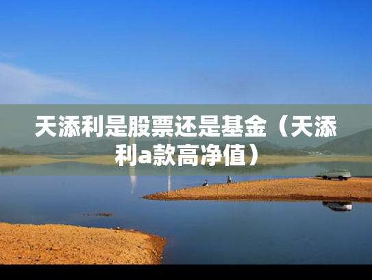 天添利是股票还是基金（天添利a款高净值）