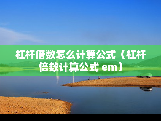 杠杆倍数怎么计算公式（杠杆倍数计算公式 em）
