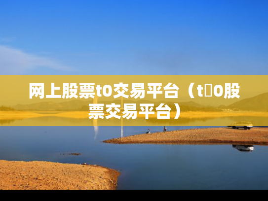 网上股票t0交易平台（t➕0股票交易平台）