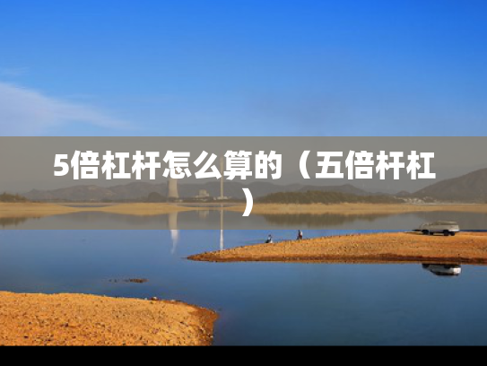 5倍杠杆怎么算的（五倍杆杠）