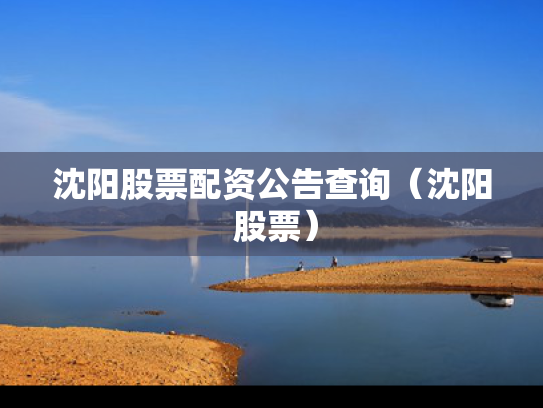 沈阳股票配资公告查询（沈阳 股票）