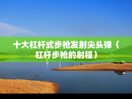 十大杠杆式步枪发射尖头弹（杠杆步枪的射程）