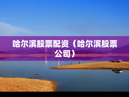 哈尔滨股票配资（哈尔滨股票公司）