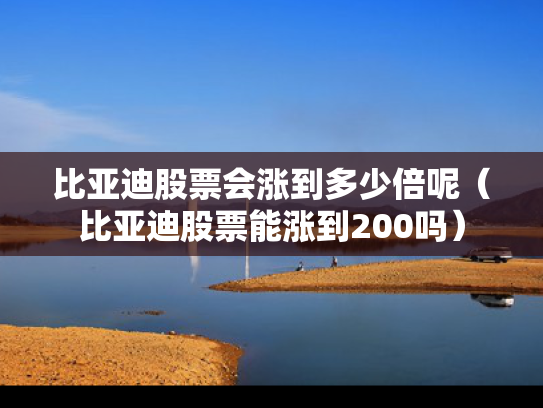 比亚迪股票会涨到多少倍呢（比亚迪股票能涨到200吗）