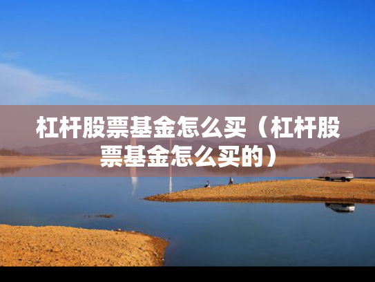 杠杆股票基金怎么买（杠杆股票基金怎么买的）