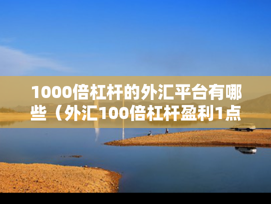 1000倍杠杆的外汇平台有哪些（外汇100倍杠杆盈利1点是多钱）