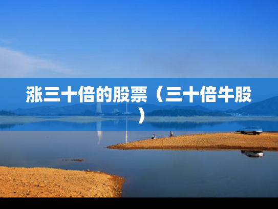 涨三十倍的股票（三十倍牛股）