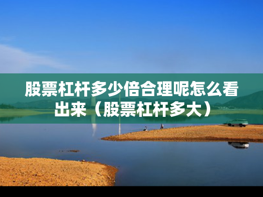 股票杠杆多少倍合理呢怎么看出来（股票杠杆多大）