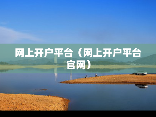 网上开户平台（网上开户平台官网）
