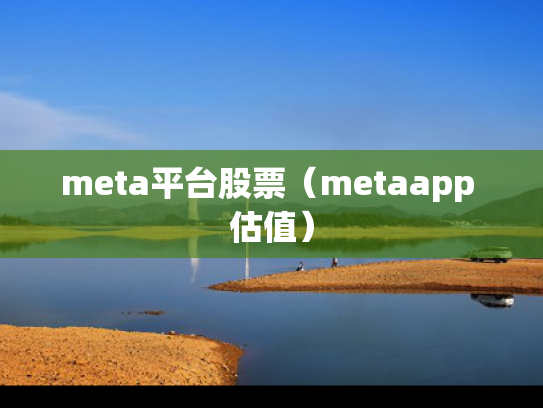 meta平台股票（metaapp 估值）