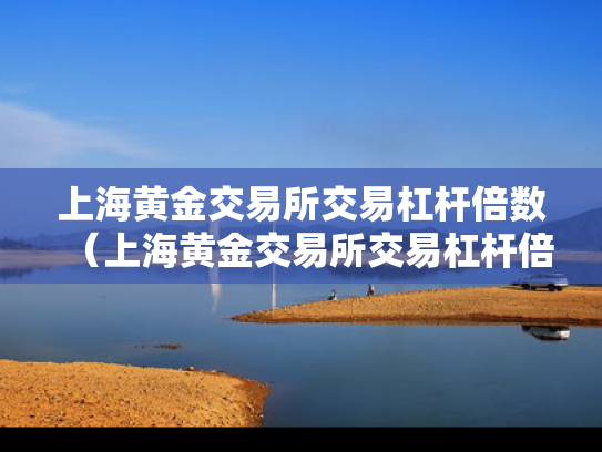 上海黄金交易所交易杠杆倍数（上海黄金交易所交易杠杆倍数是多少）